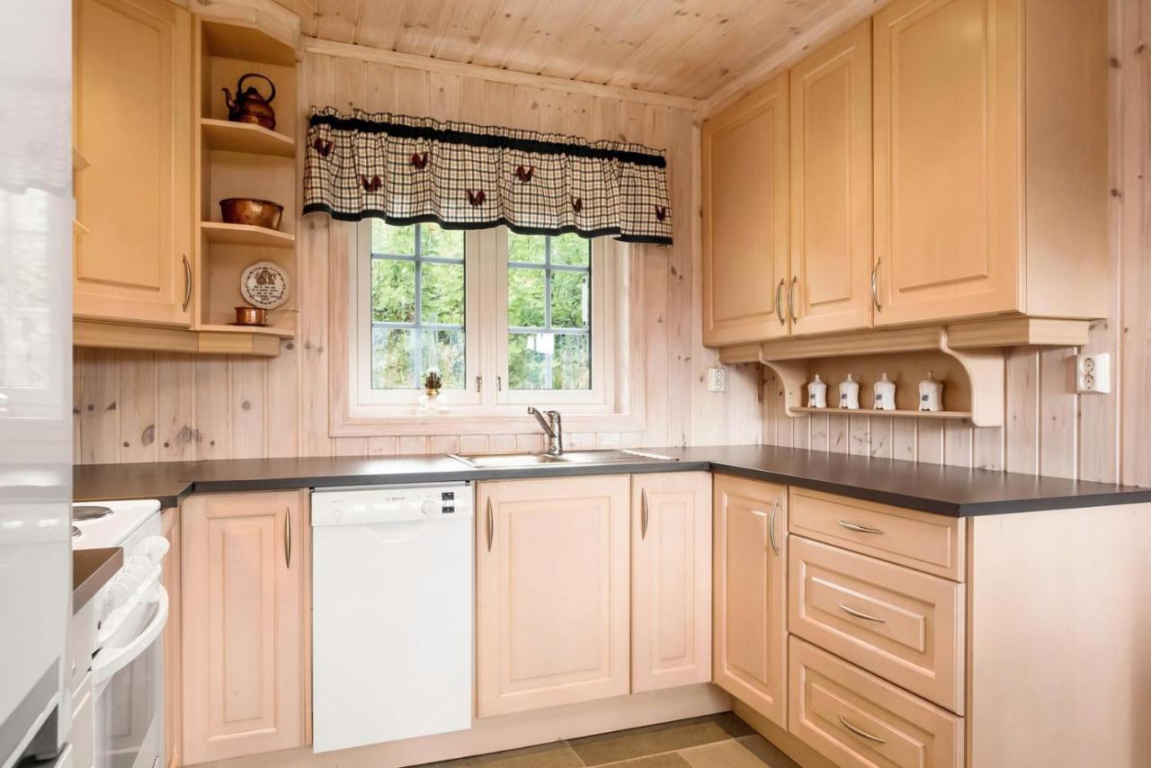 Reveenka - Cabin In Trysil With Jacuzzi For Rent Экстерьер фото