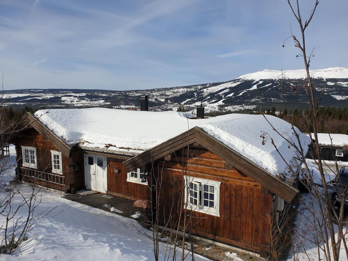 Reveenka - Cabin In Trysil With Jacuzzi For Rent Экстерьер фото